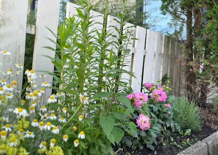 Lovely Fully Furnished Appartement