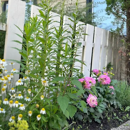 Lovely Fully Furnished Appartamento