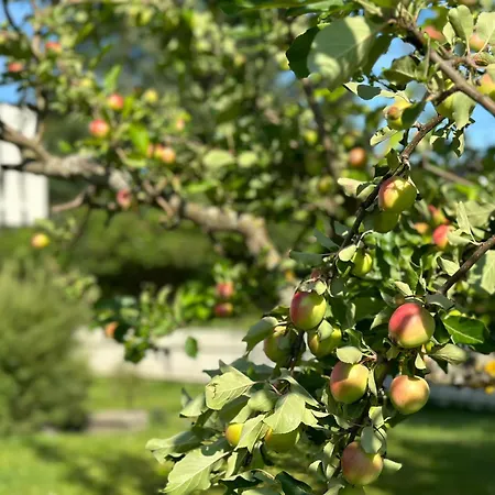 Appartamento Lovely Fully Furnished